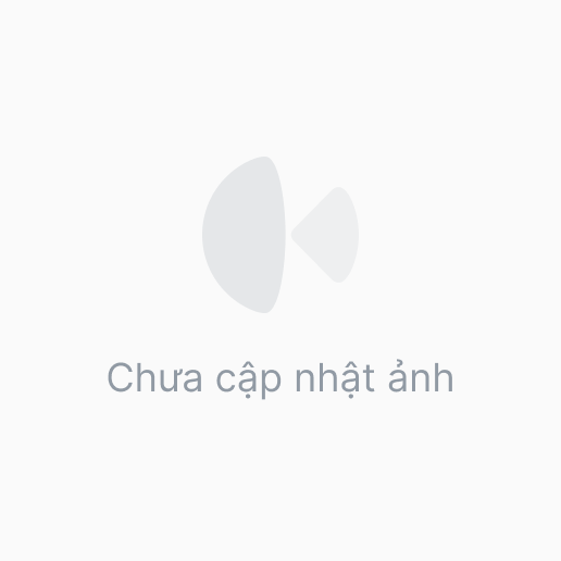Cặp bao tay Future led 125, RSX đời 2014-2022 1 dây ga chính hãng Honda